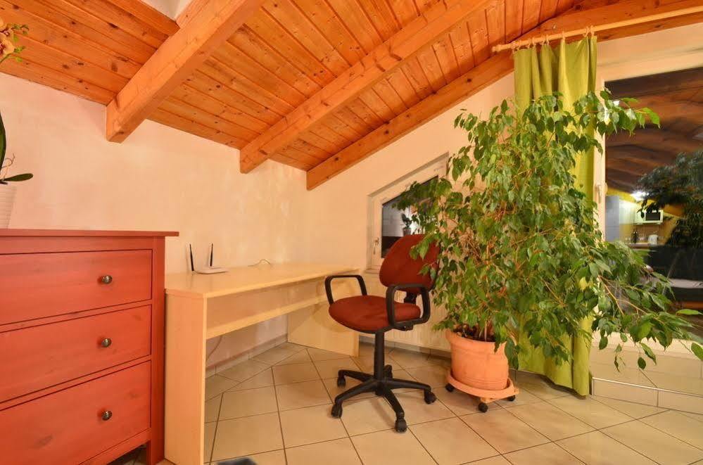 Ajo Apartments - Alte Donau Terrace Studio - Self-Check-In 维也纳 外观 照片
